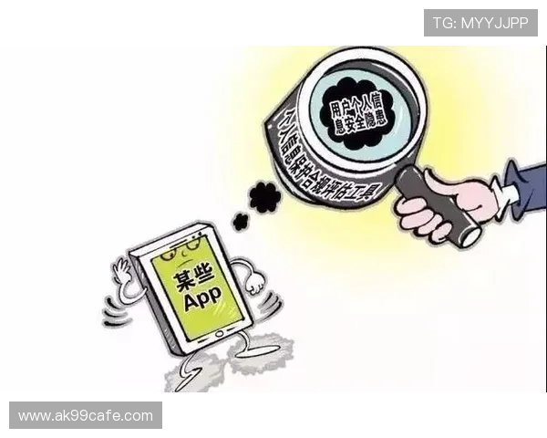 天堂app软件下载官方正版，确保用户隐私安全和流畅使用体验